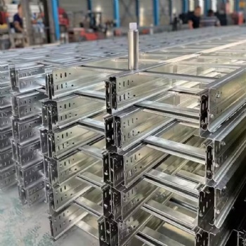 Large Span Double-Ladder Side Stainless Steel Ladder Cable Tray OEM ODM Supplier
