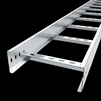 Stainless Steel Ladder Cable Tray | SS304 / SS316 Anti-Corrosion Cable Ladder for Marine & Chemical Plants