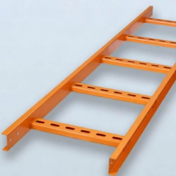 Powder Coated Ladder Cable Tray | Anti-Rust Color Spray Paint Custom Cable Ladder for Cleanroom & Commercial Projects
